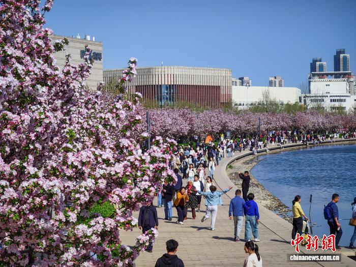 on9star娛樂：天津：民众户外踏青赏花沐春风